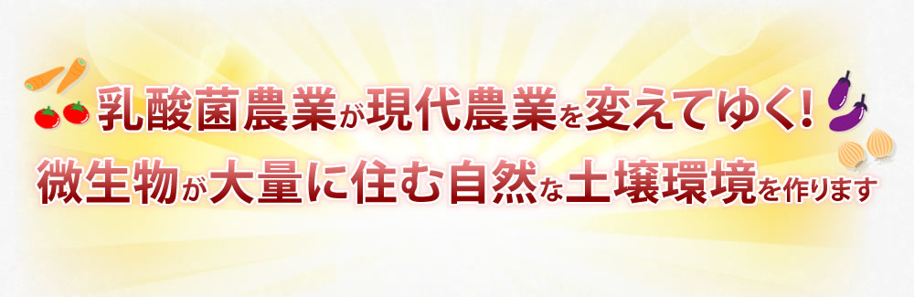 乳酸菌農業が現代農業を変えてゆく！