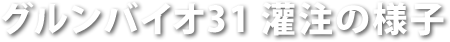 グルンバイオ31 灌注の様子