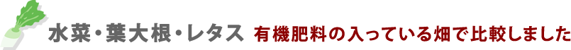 水菜・葉大根・レタス 有機肥料の入っている畑で比較しました