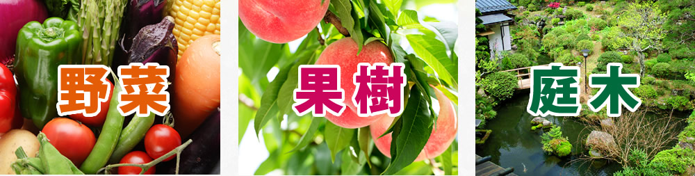 野菜・果樹・庭木