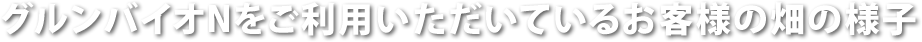 グルンバイオNをご利用いただいているお客様の畑の様子